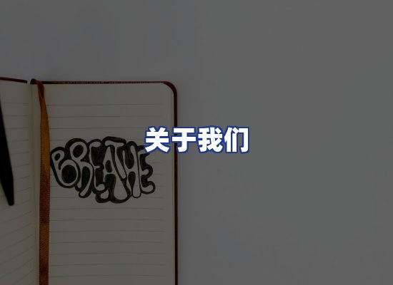 专业团队